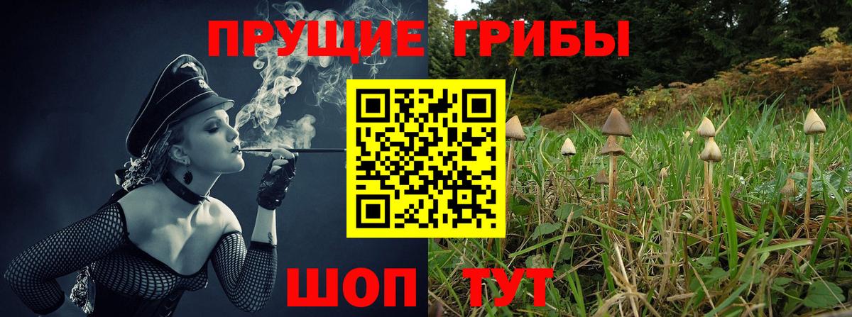 Псилоцибиновые грибы Magic Shrooms  наркотики  Бузулук  Вход с VPN 