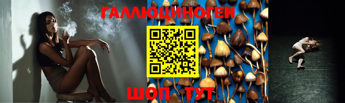 Галлюциногенные грибы Cubensis Бузулук